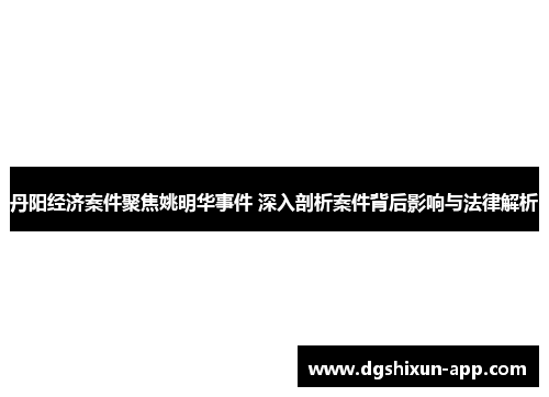 丹阳经济案件聚焦姚明华事件 深入剖析案件背后影响与法律解析